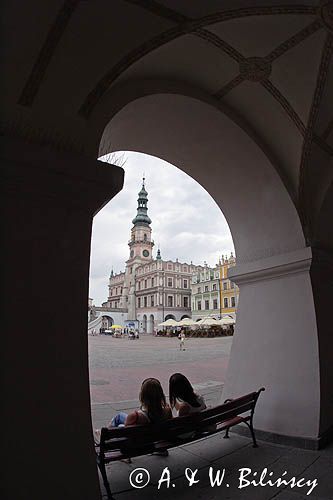 Zamość, Ratusz i rynek