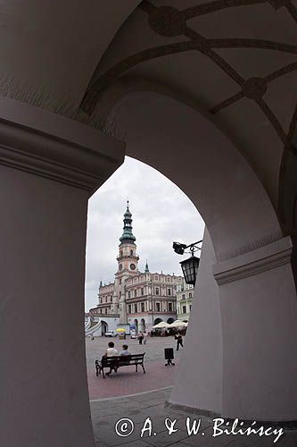 Zamość, Ratusz i rynek