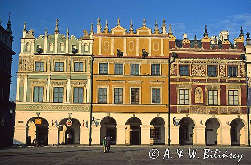 Zamość kamienice przy Rynku
