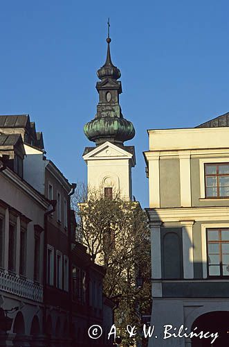 Zamość Katedra