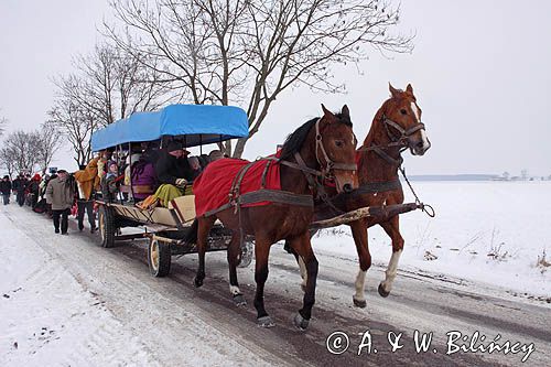 Zapusty Mazowieckie, Długołęka, XXVIII przegląd Przebierańców Zapustnych, Mazowieckie Zapusty 2009