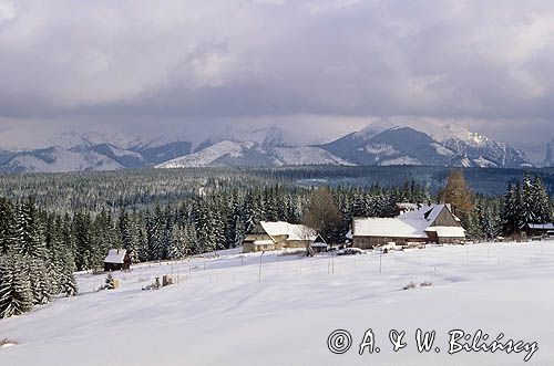 Polana Zgorzelisko, Podhale i Tatry, Polska