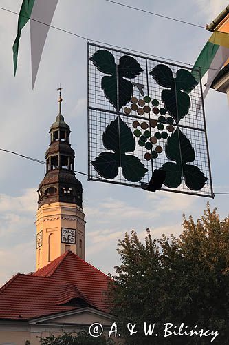 Zielona Góra, Dni Zielonej Góry - Winobranie, Ratusz
