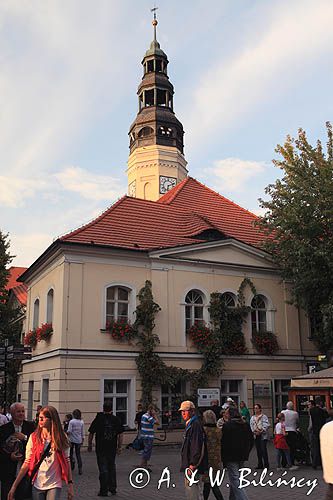 Zielona Góra, Dni Zielonej Góry - Winobranie, Ratusz