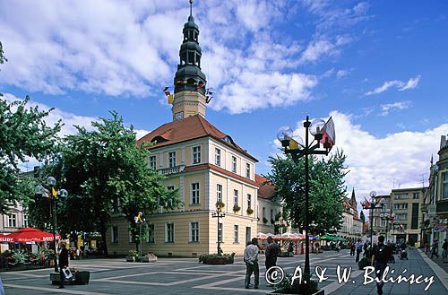 Zielona Góra ratusz