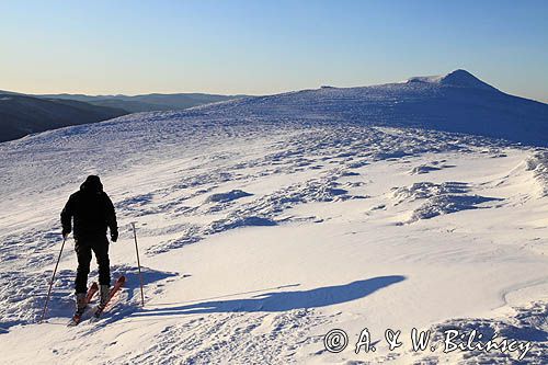 na Połoninie Caryńskiej, Bieszczady