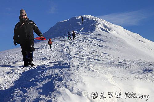 na Połoninie Caryńskiej, Bieszczady