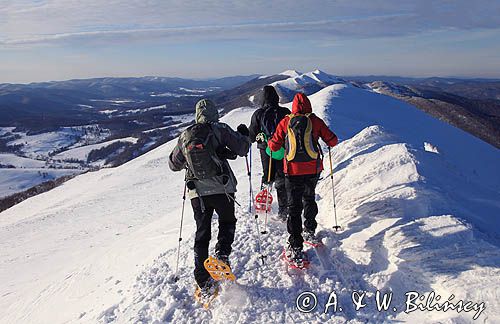 na Połoninie Caryńskiej, Bieszczady