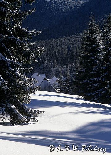 Zima na Polanie Chochołowskiej, Tatrzański Park Narodowy