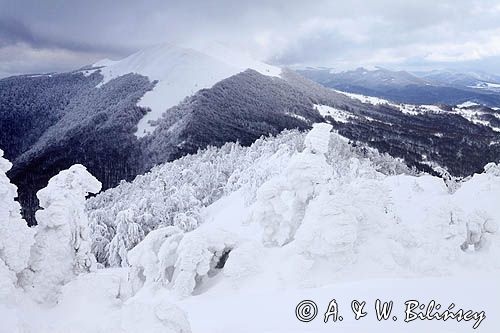 na Połoninie Wetlińskiej, Bieszczady