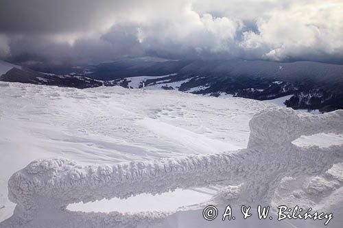 na Połoninie Wetlińskiej, Bieszczady