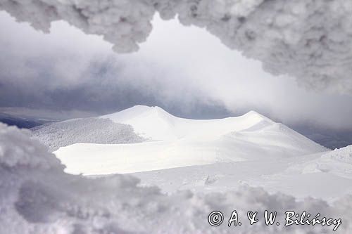 na Połoninie Wetlińskiej, Bieszczady