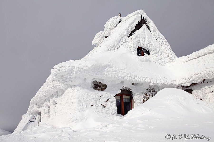 Schronisko ´Chatka Puchatka´ na Połoninie Wetlińskiej, Bieszczady