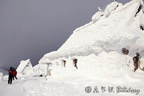 Schronisko ´Chatka Puchatka´ na Połoninie Wetlińskiej, Bieszczady