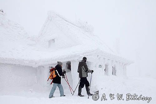 Schronisko ´Chatka Puchatka´ na Połoninie Wetlińskiej, Bieszczady