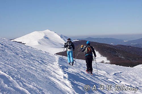 na Połoninie Wetlińskiej, w tle Smerek, Bieszczady