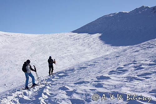 na Połoninie Wetlińskiej, Bieszczady