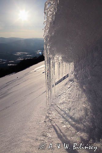 na Połoninie Wetlińskiej, Bieszczady