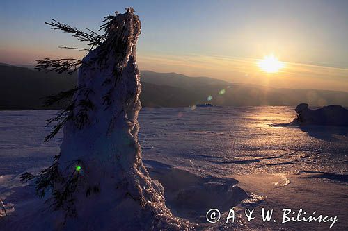 na Połoninie Wetlińskiej, Bieszczady