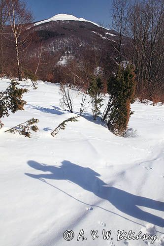 na Połoninie Wetlińskiej, Bieszczady, w tle Caryńska