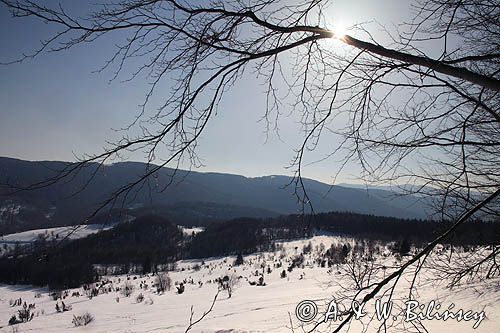 na Połoninie Wetlińskiej, Bieszczady