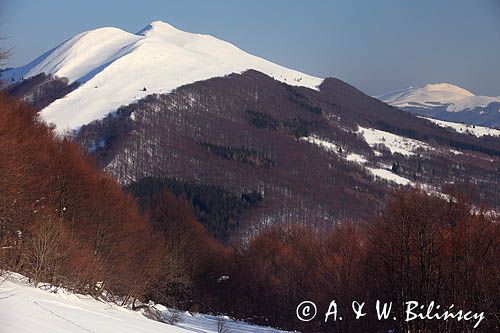 Połonina Caryńska, Bieszczady