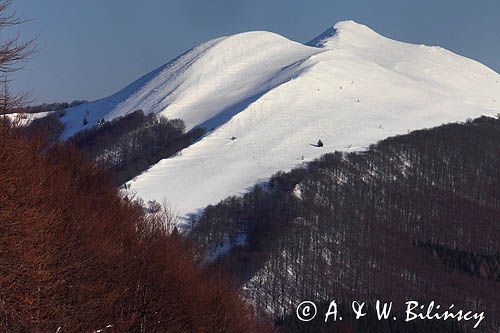 Połonina Caryńska, Bieszczady