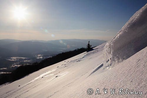 na Połoninie Wetlińskiej, Bieszczady, sople