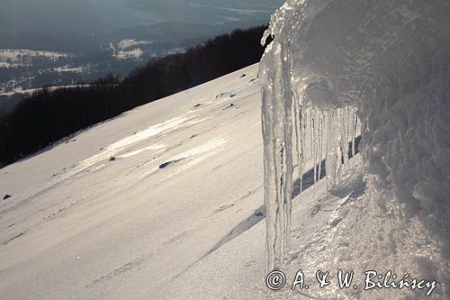 na Połoninie Wetlińskiej, Bieszczady, sople