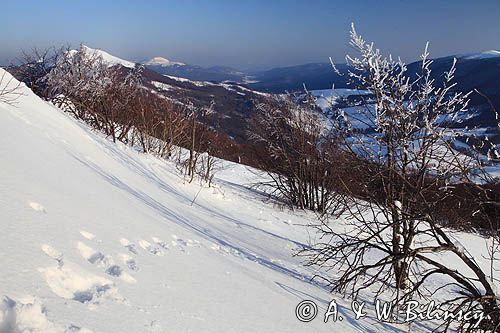 na Połoninie Wetlińskiej, Bieszczady