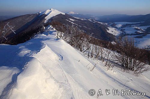 na Połoninie Wetlińskiej, Bieszczady, w tle Caryńska