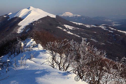 na Połoninie Wetlińskiej, Bieszczady, w tle Caryńska