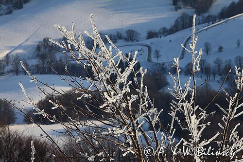 na Połoninie Wetlińskiej, Bieszczady, lodowe gałęzie