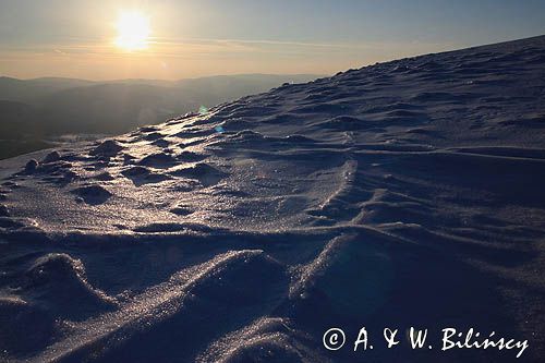 na Połoninie Wetlińskiej, Bieszczady