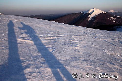 na Połoninie Wetlińskiej, Bieszczady, w tle Caryńska