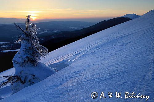 na Połoninie Wetlińskiej, Bieszczady