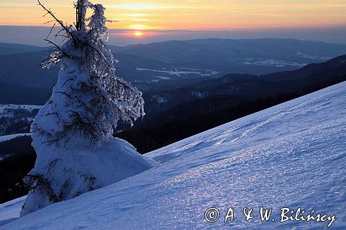 na Połoninie Wetlińskiej, Bieszczady