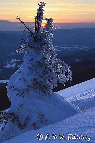 na Połoninie Wetlińskiej, Bieszczady