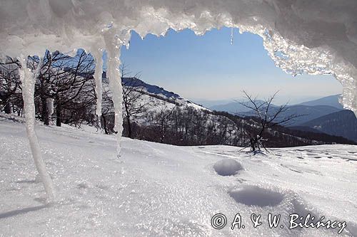 na stoku Halicza, w tle grzebień pod Haliczem, Bieszczady