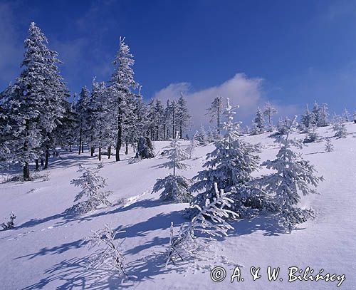 na Skrzycznem Beskid Śląski