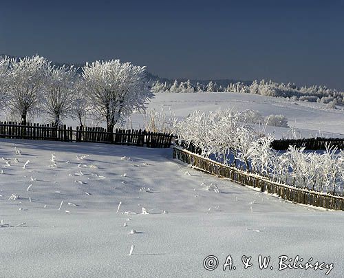 Lipie, Przedgórze Bieszczadzkie, Bieszczady