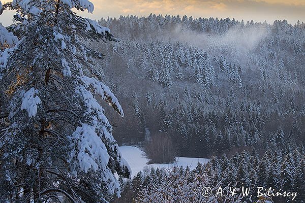 Żuków, widok z Jaworników, Góry Sanocko-Turczańskie