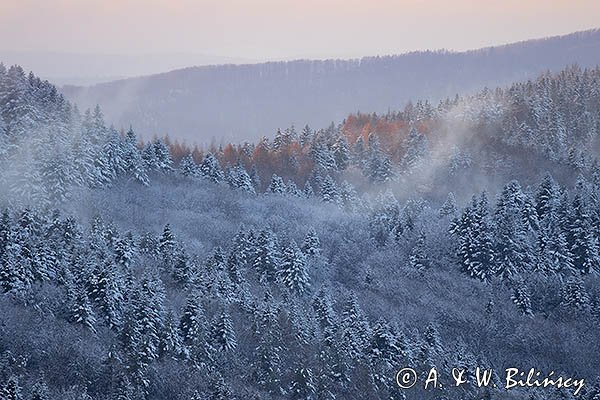 Żuków, widok z Jaworników, Góry Sanocko-Turczańskie