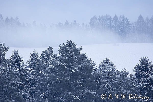 Zima, pasmo Żuków, Góry Sanocko-Turczańskie