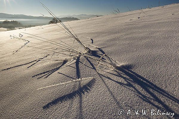 Zima, Bieszczady, szadzie