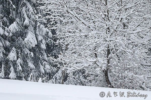 Zima, Bieszczady