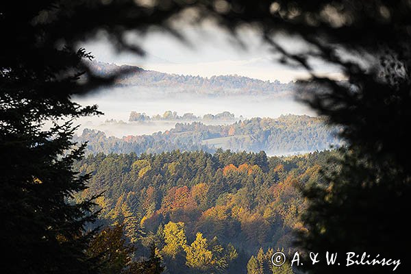 Widok z Jaworników, Góry Sanocko-Turczańskie