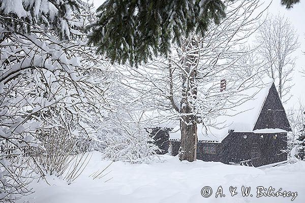 Zadymka, wieś żłobek, Bieszczady