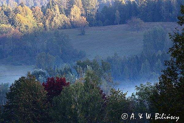 Jesienne mgły o wschodzie słońca w dolinie żłobka, Bieszczady