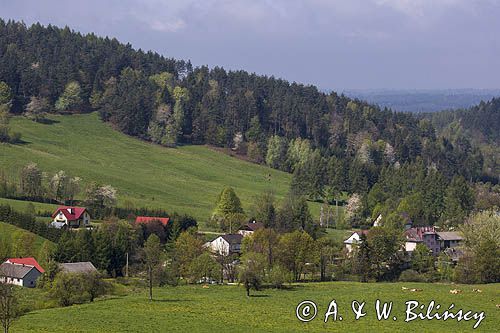 Dolina żłobka, Bieszczady